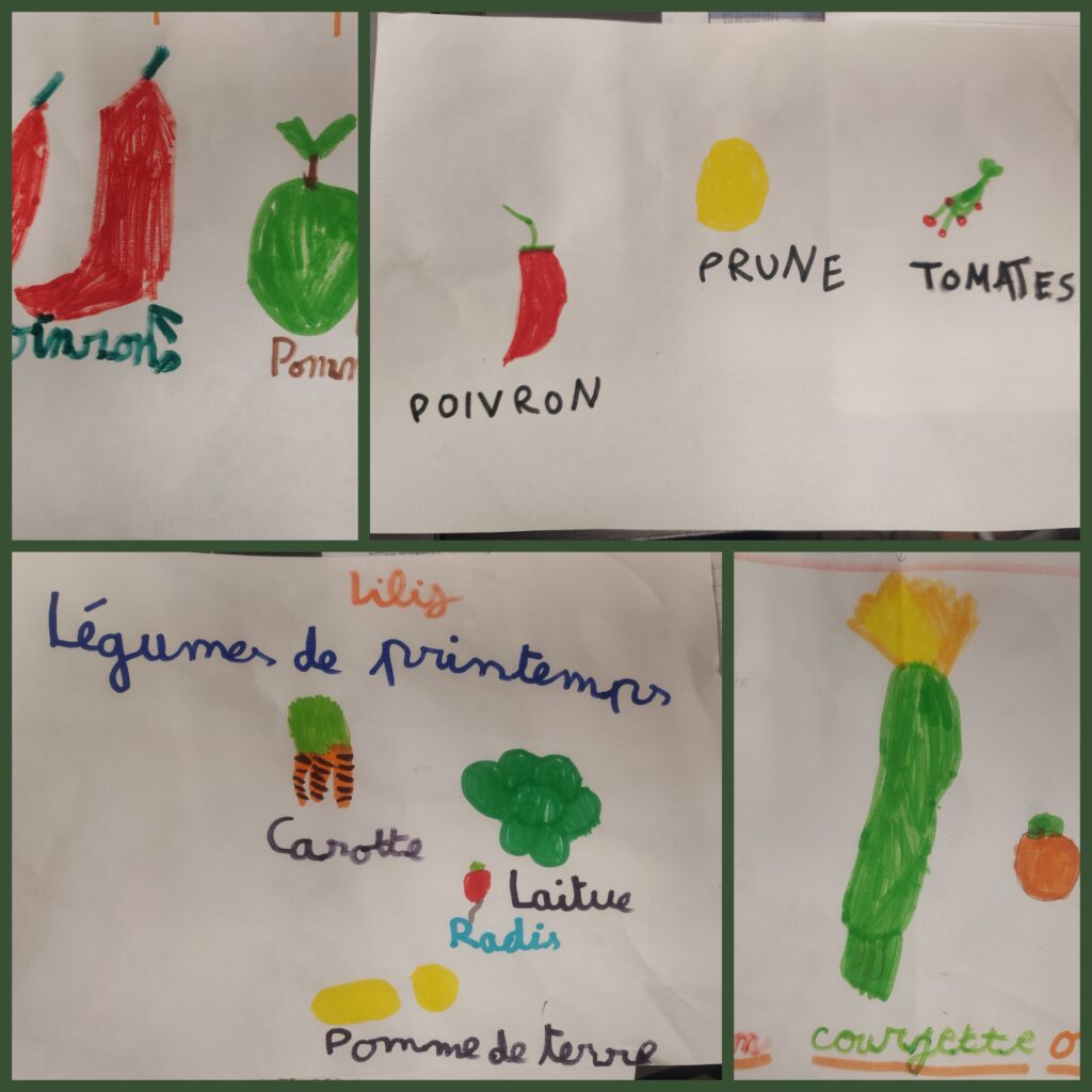 Les CP et CE1 se sont amusés à dessiner les légumes de leur choix.